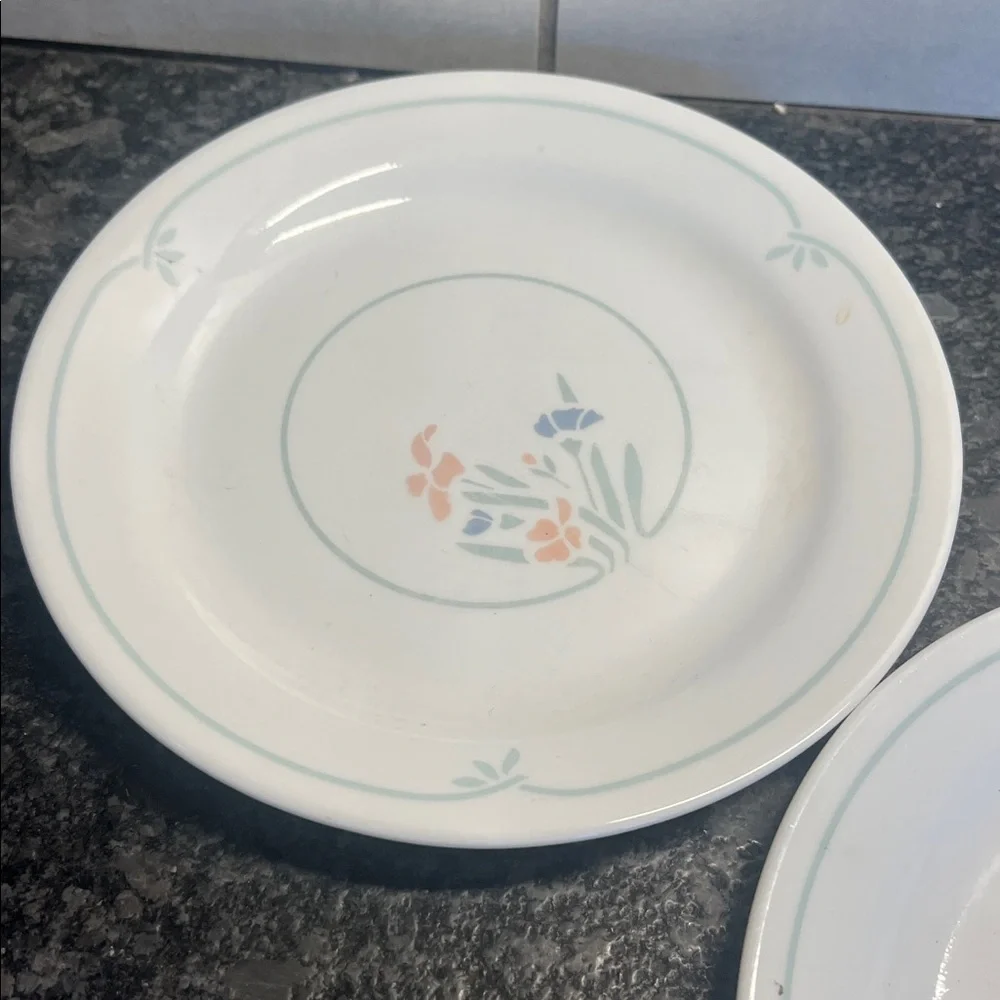 Corelle these are